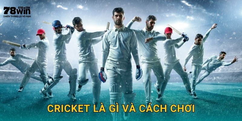 Cricket là gì và cách chơi